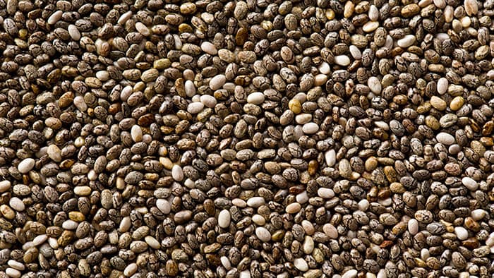 vegatonics-chia-proizvodi