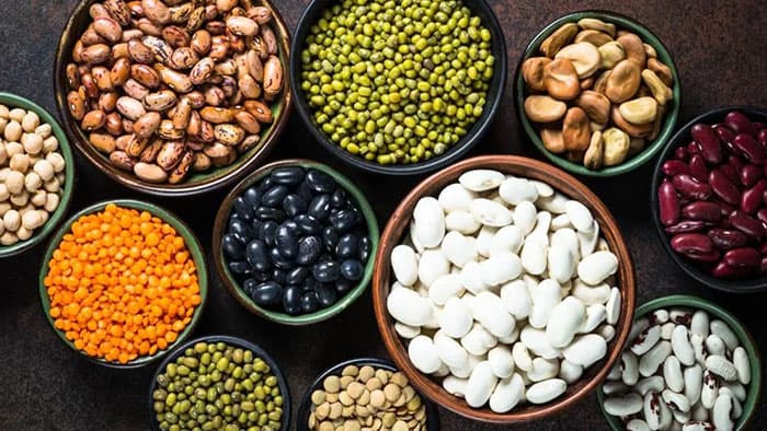 vegatonics-grah-proizvodi