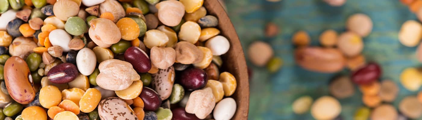 vegatonics-mahunarke-blog